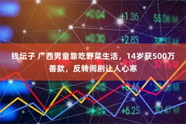 钱坛子 广西男童靠吃野菜生活，14岁获500万善款，反转闹剧让人心寒
