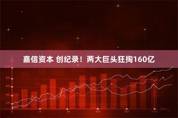嘉信资本 创纪录！两大巨头狂掏160亿