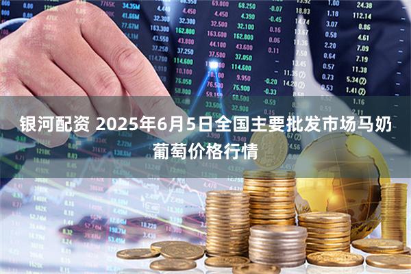 银河配资 2025年6月5日全国主要批发市场马奶葡萄价格行情