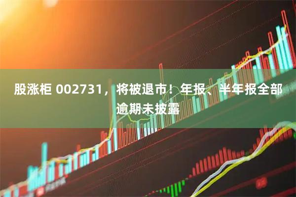 股涨柜 002731，将被退市！年报、半年报全部逾期未披露